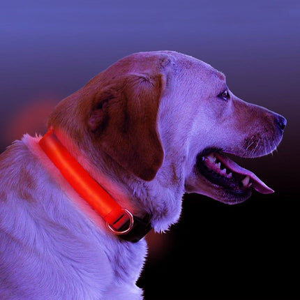 LED Light-Up Dog Collar